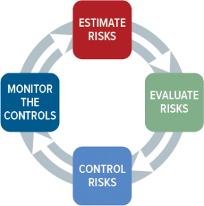 Risk Management Cycle