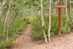Safety and Performance-Based Pathway Simplifies