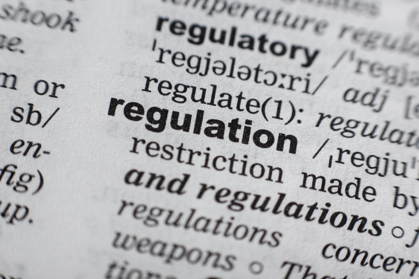 definition of regulation dictionary entry